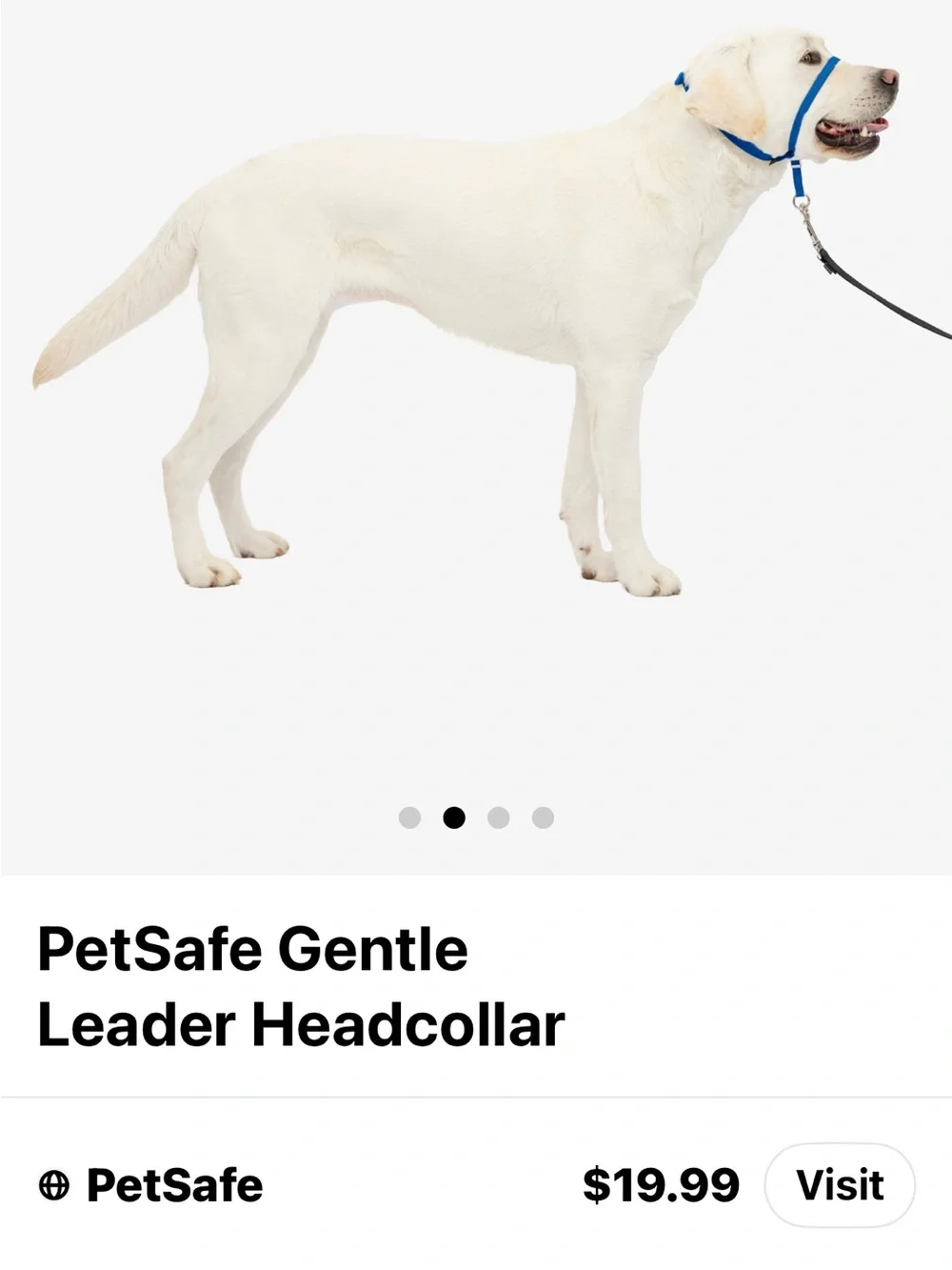 Walk n train comfortable adjustable